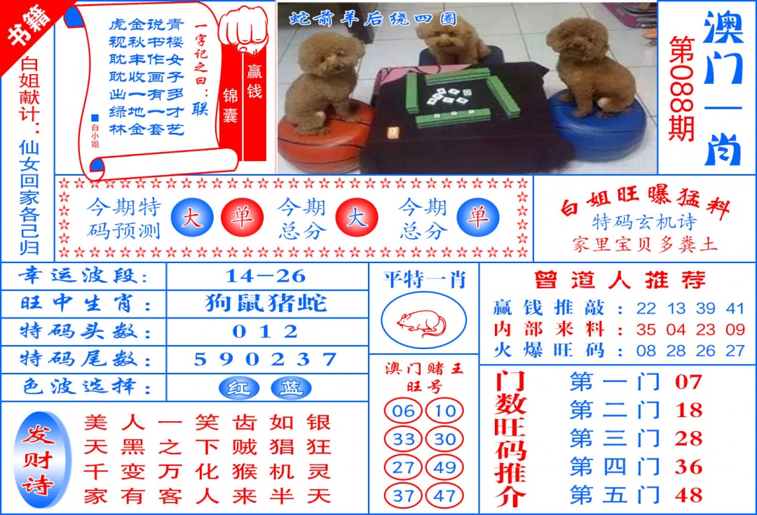 088期澳门东北虎[图]